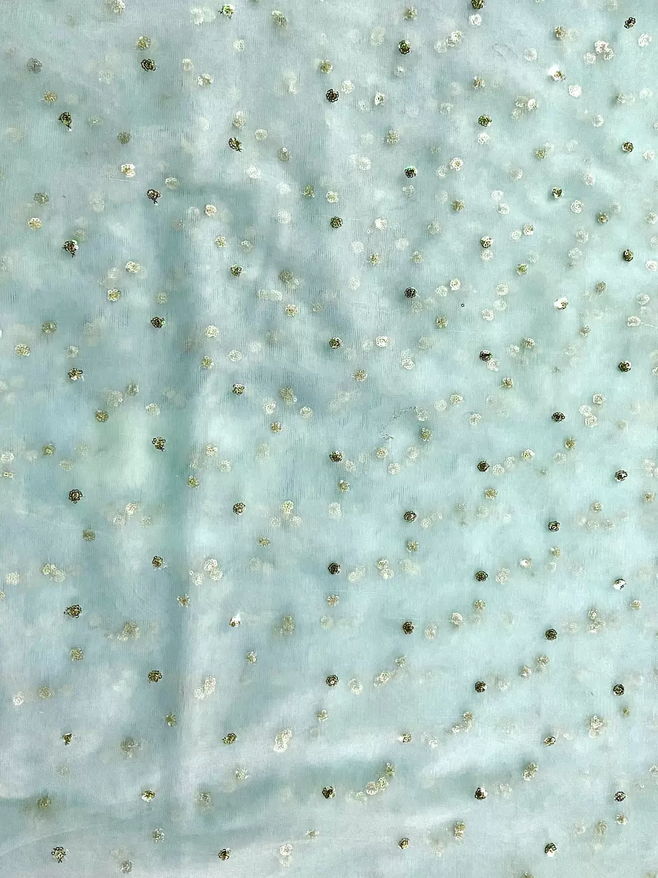 All Over Gold Sequin Buti On Sky Blue Net Fabric