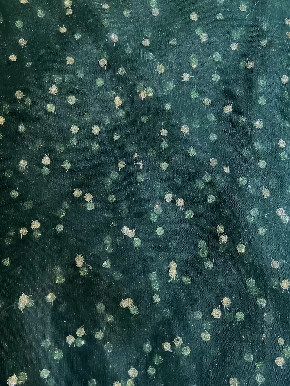 All Over Gold Sequin Buti On Bottle Green Net Fabric