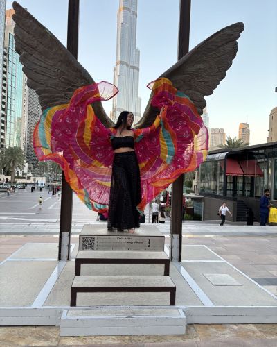 Multi Colour Flared Chiffon Shrug