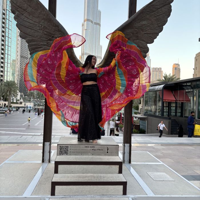Multi Colour Flared Chiffon Shrug