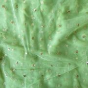 All Over Gold Sequin Buti On Pishta Green Net Fabric