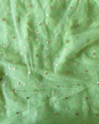 All Over Gold Sequin Buti On Pishta Green Net Fabric