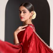 Naveli Red Pure Crepe Saree with Gota and Zari Embroidered Blouse