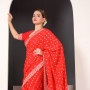 Shagan Red Georgette Saree with Intricate Embroidery