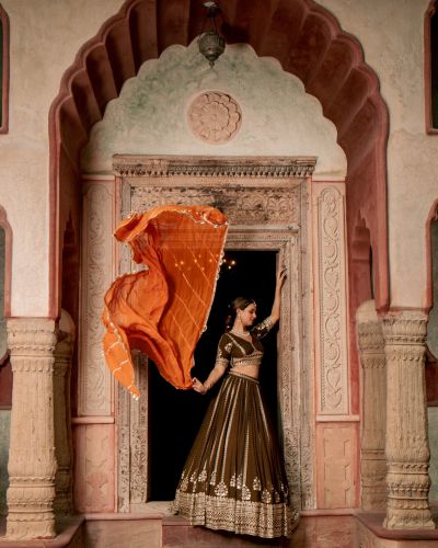 Brown Maharani Lehenga with Zari Embroidery & Rust Orange Dupatta