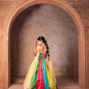 Multi Kali Gherdaar Tube Anarkali with Choker Dupatta