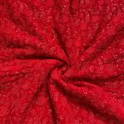 Red tone on tone chikankari Embroidered Pure Georgette fabric