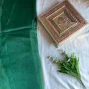 Bottle green plain organza fabric