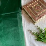 Bottle green plain organza fabric