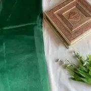 Bottle green plain organza fabric