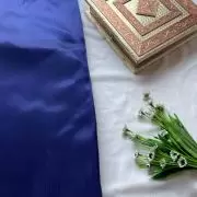 Navy blue plain organza fabric