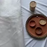 White Plain organza fabric