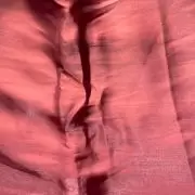 Maroon oak gales glass organza plain fabric