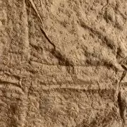 Golden tone on tone chikankari embroidered Pure mysore silk fabric