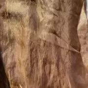 Brown plain silk satin fabric