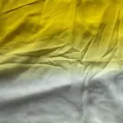 Off white two yellow shaded Puget Fabric