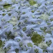 Floral green shaded thread Embroidery on white Pure Georgette Fabric