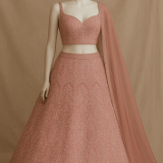Baby pink lehenga style with white thread embroidery on georgette fabric