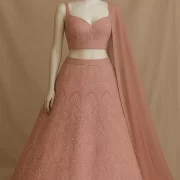 Baby pink lehenga style with white thread embroidery on georgette fabric