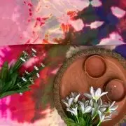 Multicoloured Shibori Print Georgette Fabric