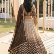 Zigzag Embroidered Lehanga Set in Beige to Coffee Ombre Shade in Pure Georgette fabric