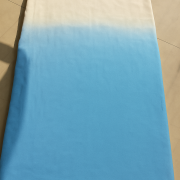 Pure Georgette Ombre Saree With Hand painted Flowers On Blouse