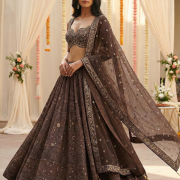 Gold Zari Embroidered Lehenga With Heavy Border In Brown Colour