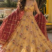 Floral Pure Organza Thread And Sequin Embroidered Lehenga