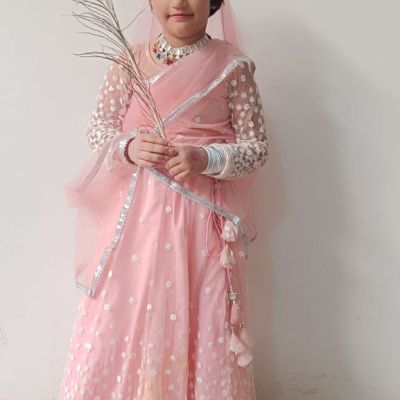 Net Embroidered Lehenga In Baby Pink Colour