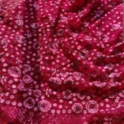 Thread & Sequin Floral embroidered Co-ord Set In Marron Colour